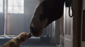 budweiser_ad_2_012914