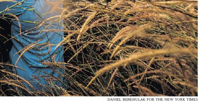 Screen Shot 2014-12-30 at 11.18.33 AM