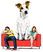 RV-AP931_ARIELY_8U_20150327125117