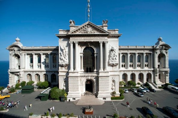 264087_210501505657778_3337326_n