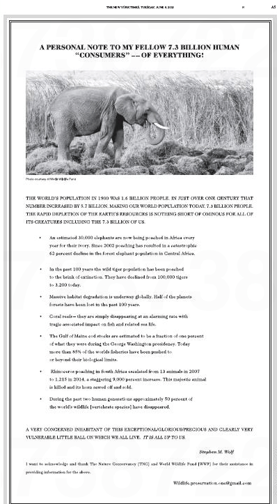 Screen Shot 2015-06-10 at 1.50.14 AM