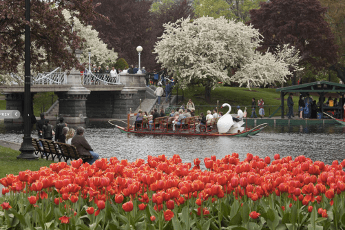 Screen Shot 2016-07-02 at 12.05.24 AM