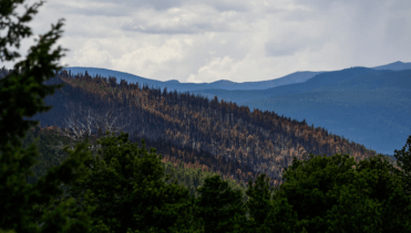 Screen Shot 2016-08-23 at 1.17.25 PM